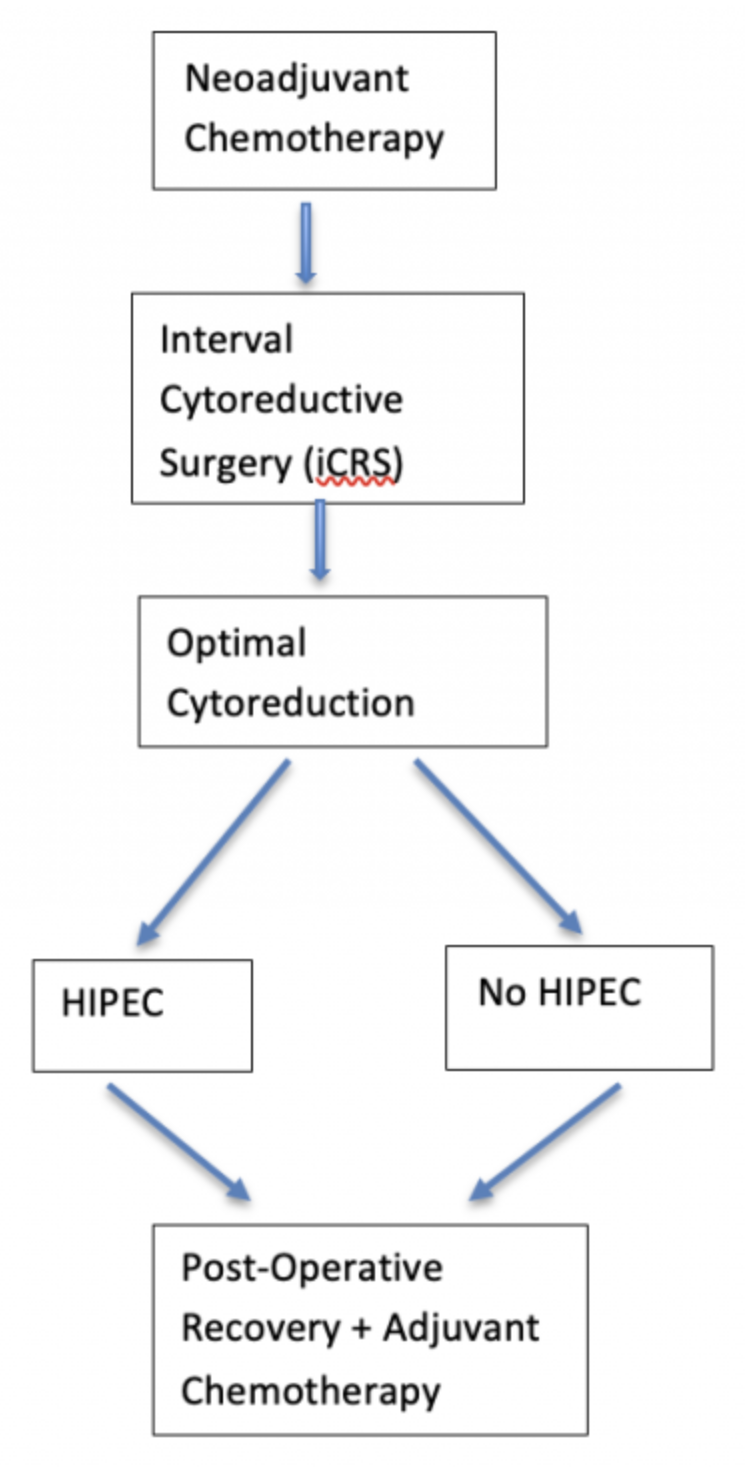 Flow chart of the HIPEC pathway: neoadjuvant chemotherapy leads to interval cytoreductive surgery, then optimal cytoreduction, which branches to HIPEC or no HIPEC, both leading to post-operative recovery and adjuvant chemotherapy